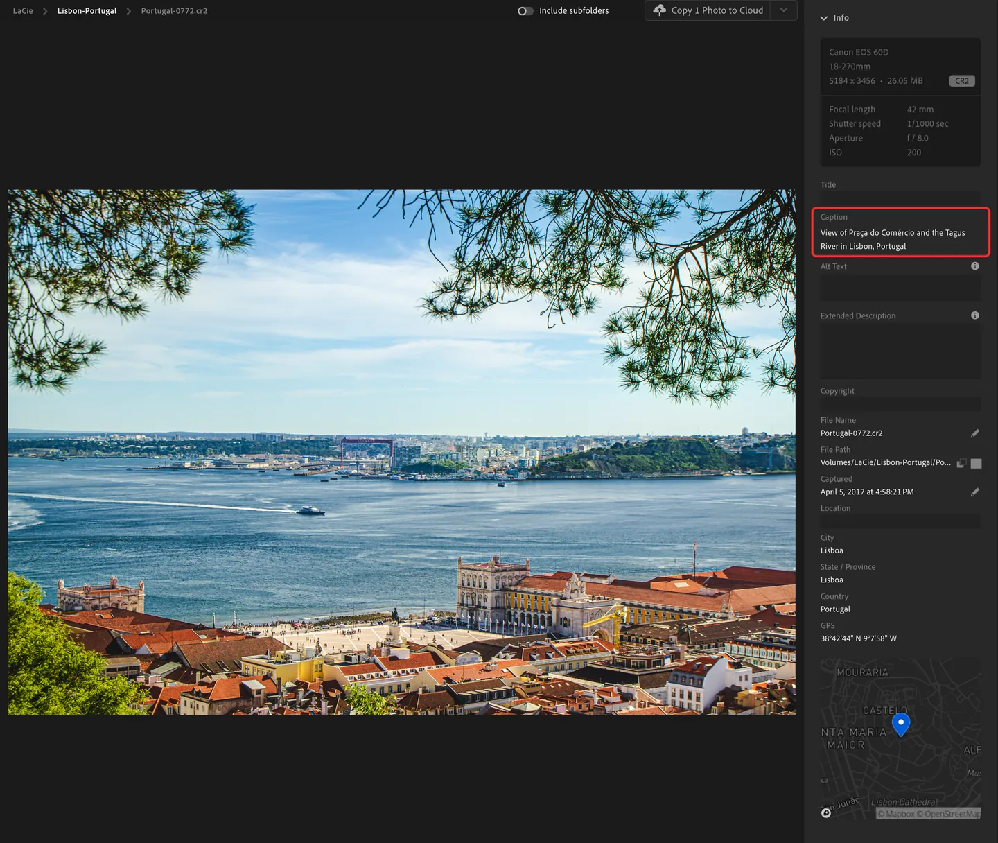 The generated caption showing in Lightroom’s Info panel