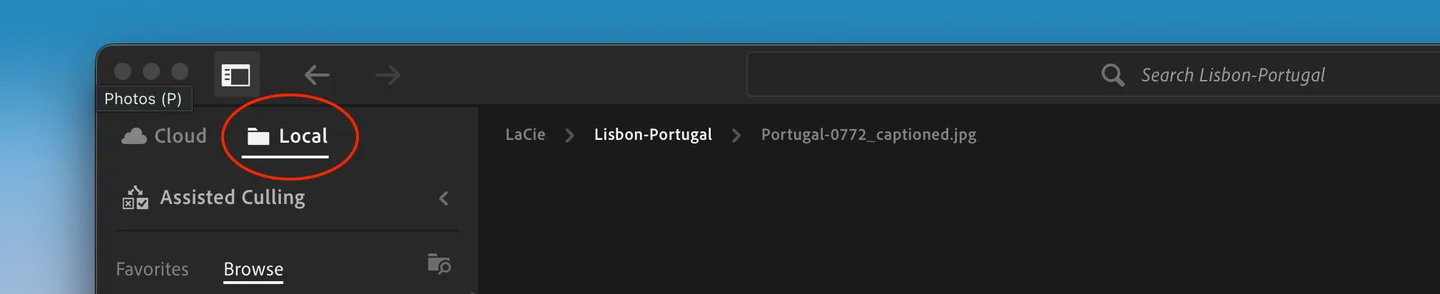 Lightroom’s Cloud and Local tabs, with Local selected